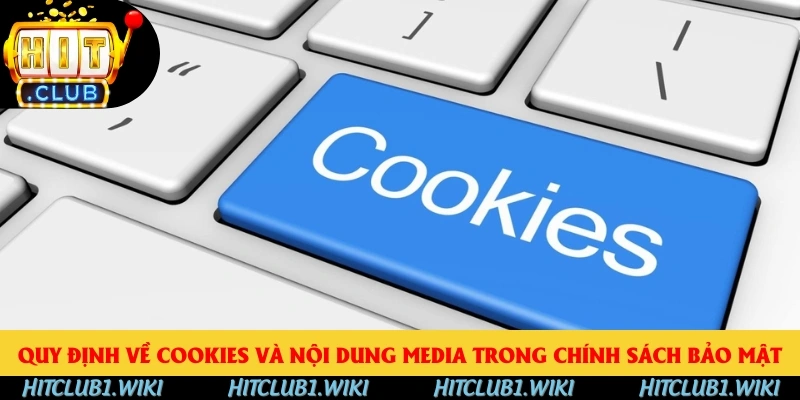 Quy định về cookies và nội dung media trong chính sách bảo mật Quy định về cookies và nội dung media trong chính sách bảo mật