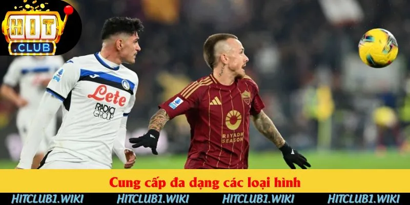 Bộ môn cung cấp đa dạng các loại hình Bộ môn cung cấp đa dạng các loại hình